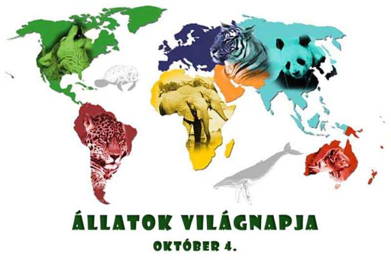 Állatok világnapja 2025