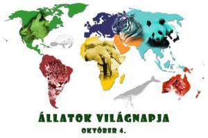 Állatok világnapja 2025